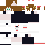 Texture for ccsakura