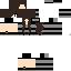 Texture for milp_/mlipson fixed