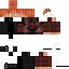 Texture for Hunter3