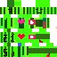 Texture for 西瓜
