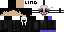 Texture for ds