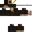 Texture for Inspector