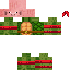 Texture for Imapigturtle