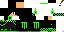 Texture for fs