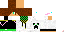 Texture for Dom2014