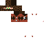 Texture for ninja
