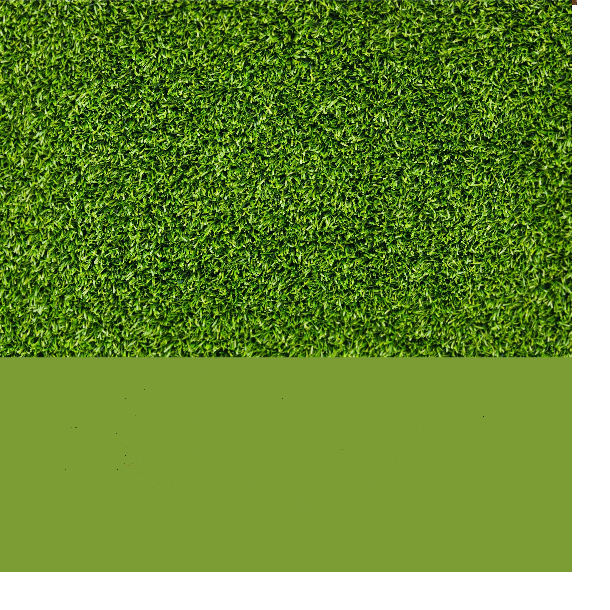 Texture for blockii
