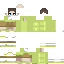 Texture for pochti yce