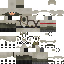 Texture for XERI