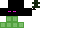 Texture for Schield