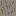 Texture for Acacia