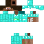 Texture for mcsteve