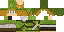 Texture for LINK