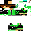 Texture for Cive