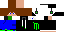 Texture for stepiks