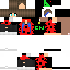 Texture for LadyNoir.