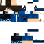 Texture for Steve
