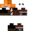 Texture for zorro957