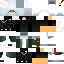 Texture for Gabriel13