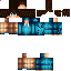 Texture for Grian Head II