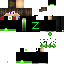 Texture for LEONHAMMAR