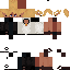 Texture for Raphael (Camisa)