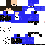Texture for ds