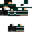 Texture for TurtleBoy