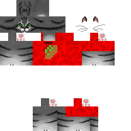 Texture for Taco Cat
