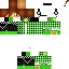 Texture for lucas