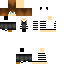 Texture for withe tiger