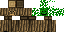 Texture for tree man