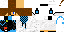 Texture for c ndixc 