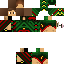 Texture for Walder Strings