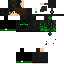 Texture for ender boy