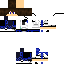 Texture for Rex_501