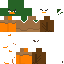 Texture for patito