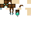 Texture for um
