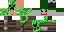 Texture for cl