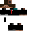 Texture for steve