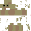 Texture for sapo v2