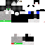 Texture for Sapoo