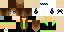 Texture for coco