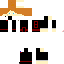 Texture for Leo