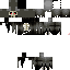 Texture for cronos