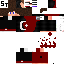 Texture for steve