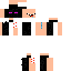 Texture for Ender-Noob