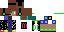 Texture for Stint