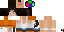 Texture for Chell