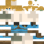 Texture for LINK